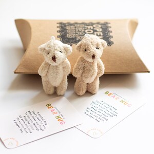 May include: Two small, cream-coloured teddy bears with brown eyes and noses. The bears are sitting on a white surface with two cards that say "Bear Hug" and include a poem about a pocket hug.
