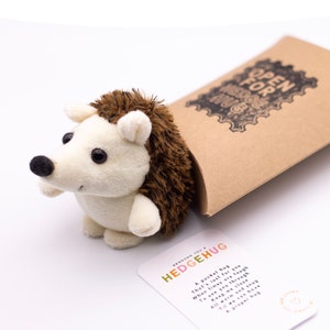 Envoi de câlins avec soin Coffret cadeau soleil Envoyez un câlin cadeau de réconfort Cadeau LDR Guérison rapide Cadeau vous vous manquez Cadeau Une pensée pour vous