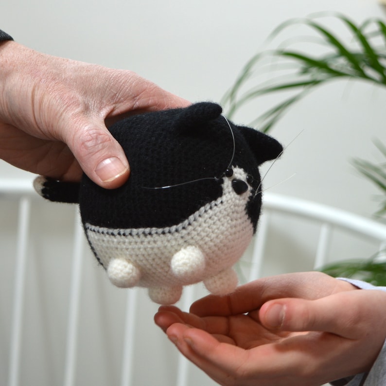 Cat Crochet Kit Kitten Crochet Kit Black and White Crochet Etsy UK