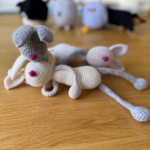 Bunny Crochet Kit, DIY Animal Amigurumi Toys Crochet Kit, Crochet Pattern, Hook, Yarn and Stuffing