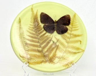 Butterfly Hotplate | Resin Flower Kitchen Trivet