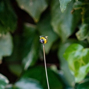 個別のガラス製バンブルビーの茎