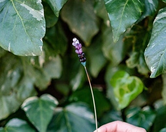 Individual Glass Lavender Stems