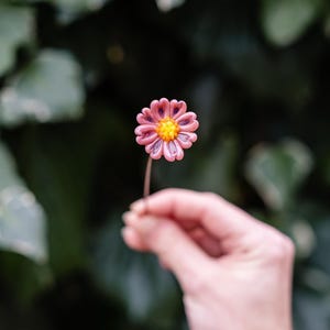 Oktober Cosmo