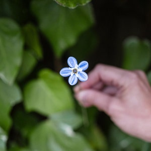 Individual Forget Me Not Glass Stems