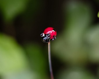 Tiges individuelles de coccinelle en verre