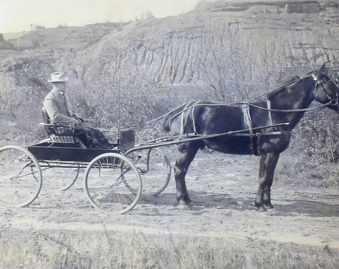 Antique Photo of Dr. Andrew Suydam Fritts in a Horse-Drawn Carriage Framed Under Glass