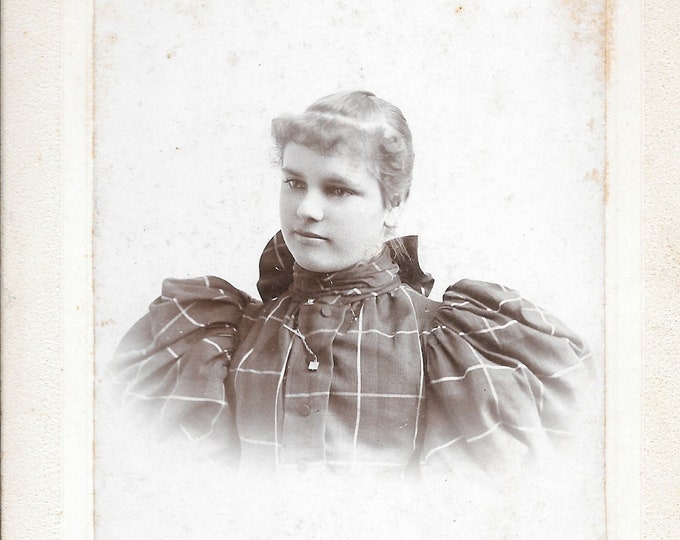 Antique Photo Portrait of Julia Feiock of Arcadia New York circa 1890