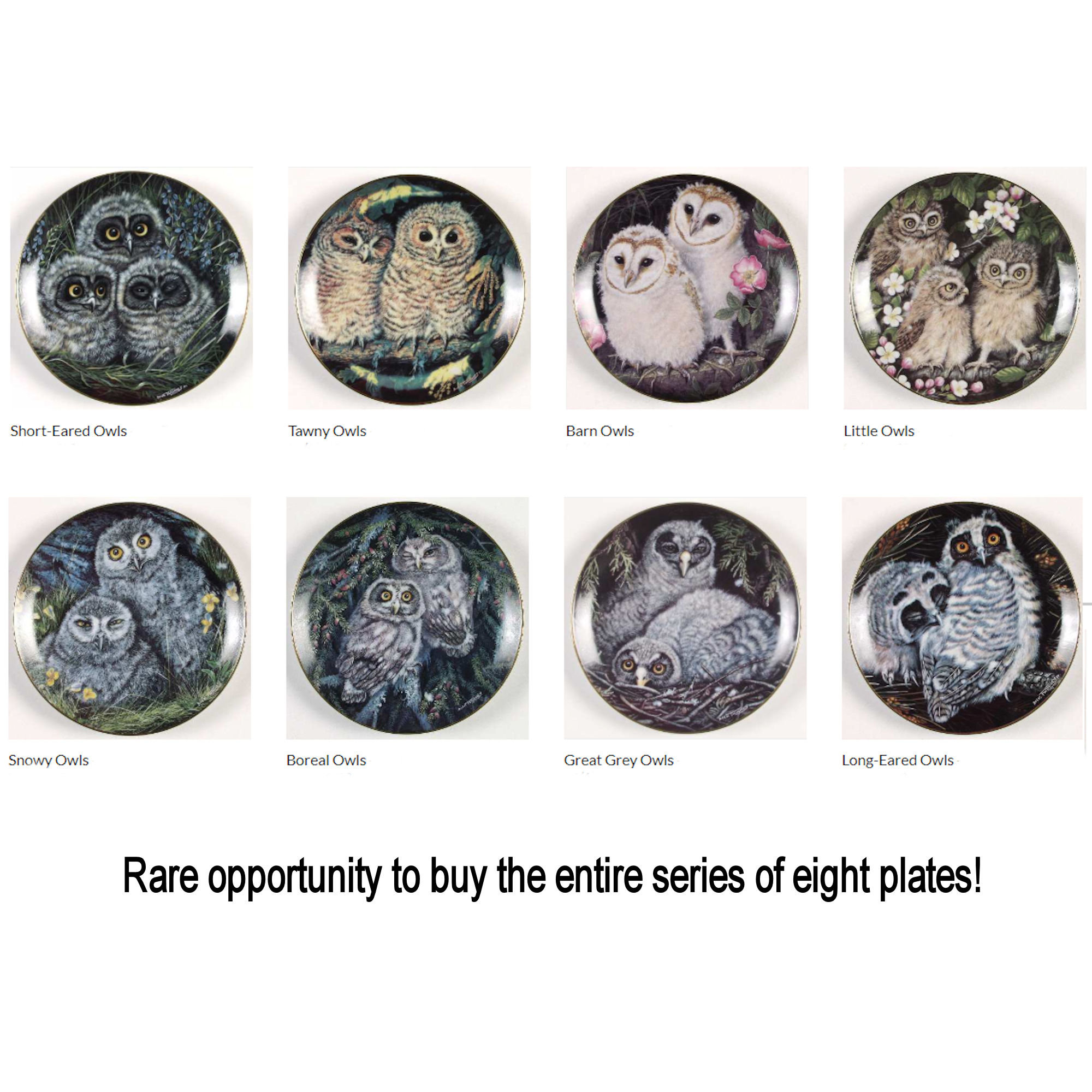 Rare Estate Owls Plate Tawny Owls Baby Owls Collection by Dick Twinney
