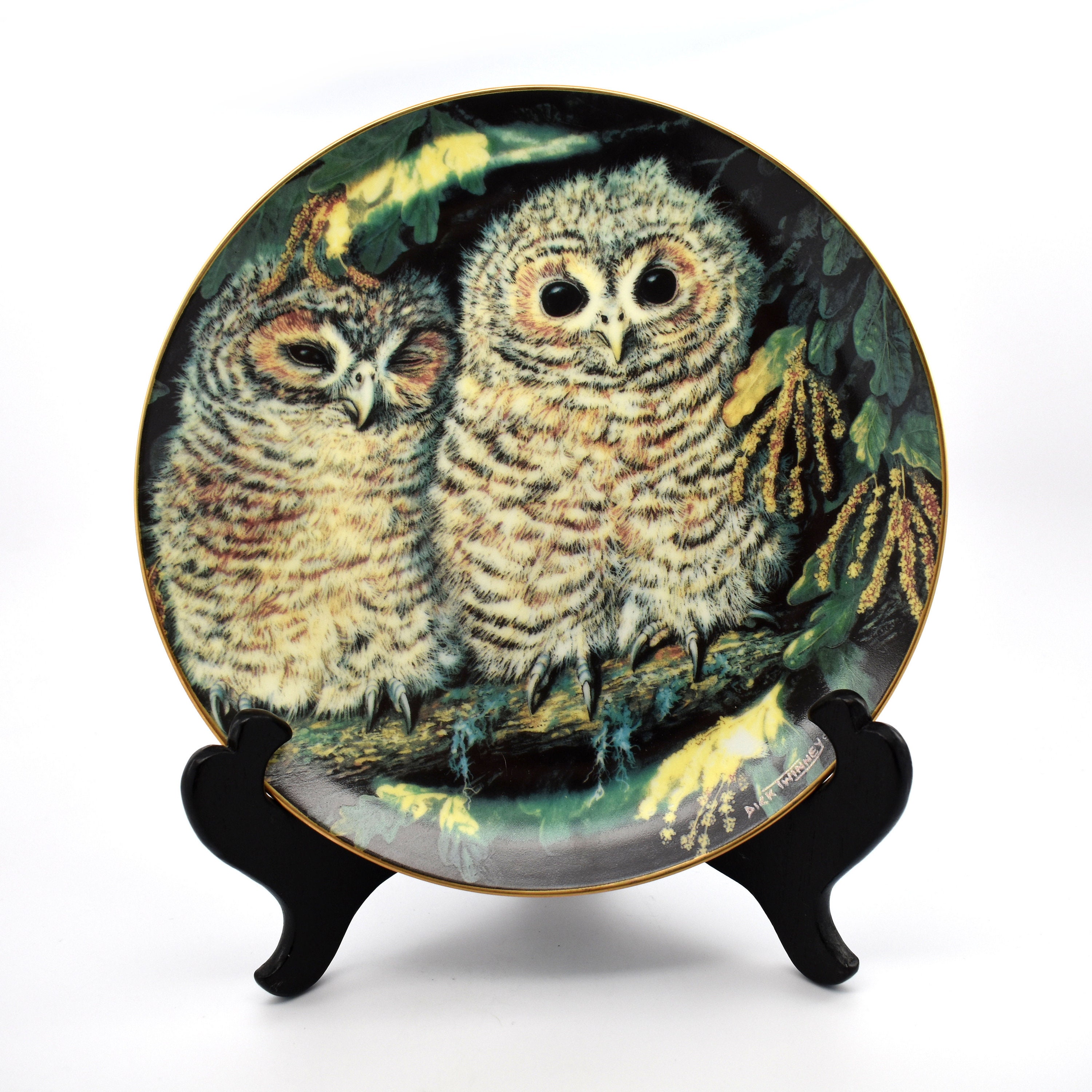 Rare Estate Owls Plate Tawny Owls Baby Owls Collection by Dick Twinney