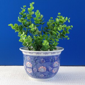 May include: A blue and white ceramic planter with a floral design features a green leafy plant.