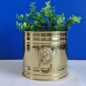 May include: A gold brass planter with a lion head design and a ring handle. The planter is filled with green leafy plants.