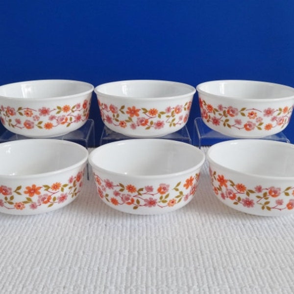 Arcopal Scania Bowls x 6 Vintage