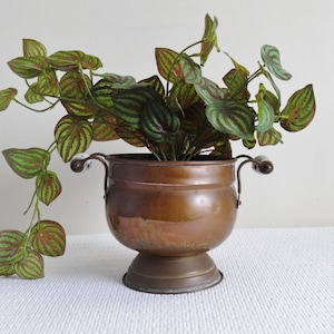 May include: A copper planter with two handles and a green and brown leafy plant inside.