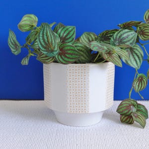 Peut inclure: Un pot en céramique blanche avec un motif géométrique doré. Le pot est rempli d'une plante verte feuillue aux feuilles rayées de rouge et de vert.