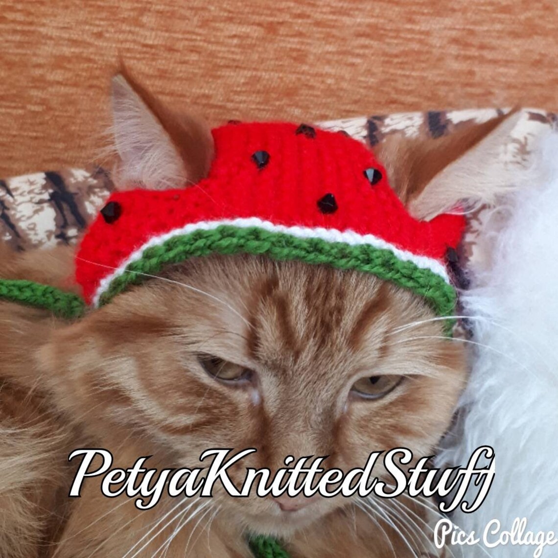 Hat for cat Watermelon hat for cat Etsy