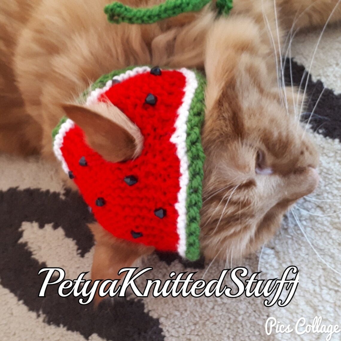 Hat for cat Watermelon hat for cat Etsy