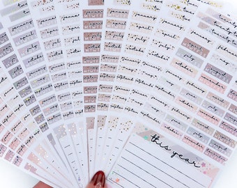 Neutral Weeks Year at a Glance 2023  13 colour choices  Hobonichi Functional Stickers