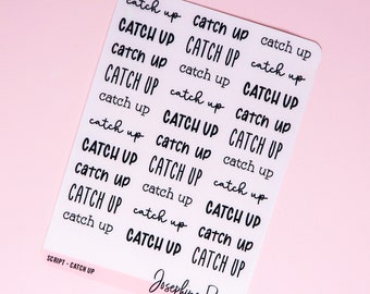 SCRIPT  Catch Up  Transparent   Functional Stickers  Planners and Bullet Journalling