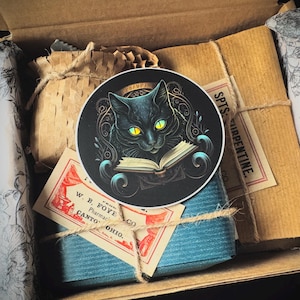 Witch Mystery Gift Box with Vintage and Antique Items Small Keepsake Box Collection for the Modern Witchy Gothic Woman Package