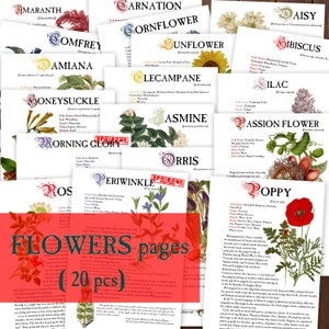 20 FLOWERS Herbology digital pages for Book of Shadows Herbs Magickal properties Instant Download