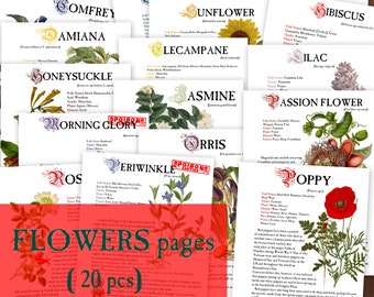 20 FLOWERS Herbology digital pages for Book of Shadows Herbs Magickal properties Instant Download