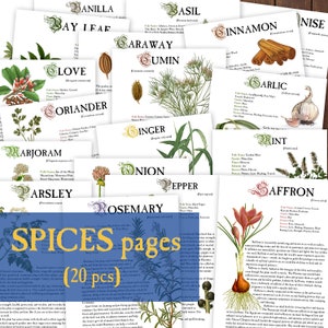 SPICES 20 pcs Herbology digital pages for Book of Shadows Herbs Magickal properties Instant Download
