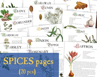 SPICES 20 pcs Herbology digital pages for Book of Shadows Herbs Magickal properties Instant Download