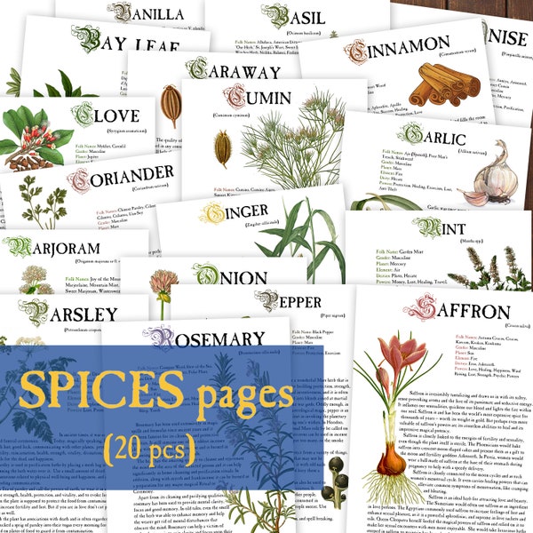 SPICES 20 pcs Herbology digital pages for Book of Shadows Herbs Magickal properties Instant Download