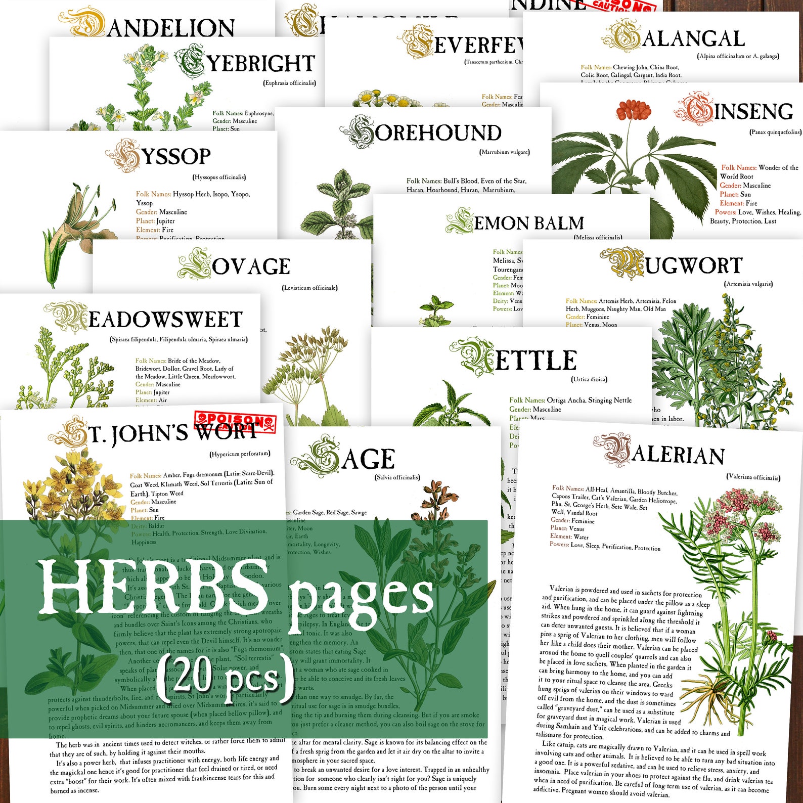 20 HERBS Herbology Digital Pages for Book of Shadows Herbs Etsy UK