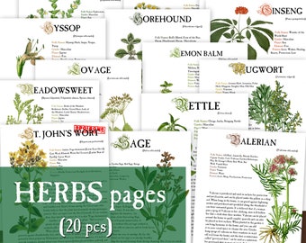 20 HERBS Herbology digital pages for Book of Shadows Herbs Magickal properties Instant Download