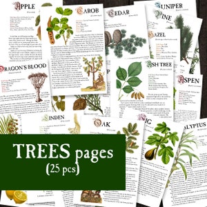 25 TREES Herbology digital pages for Book of Shadows Herbs Magickal properties Instant Download