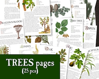 25 TREES Herbology digital pages for Book of Shadows Herbs Magickal properties Instant Download