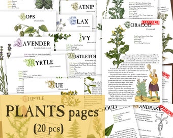20 PLANTS Herbology digital pages for Book of Shadows Herbs Magickal properties Instant Download
