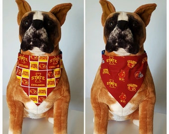 iowa state dog jersey