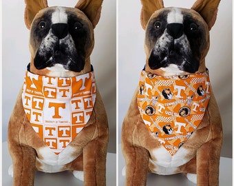 college dog sweaters