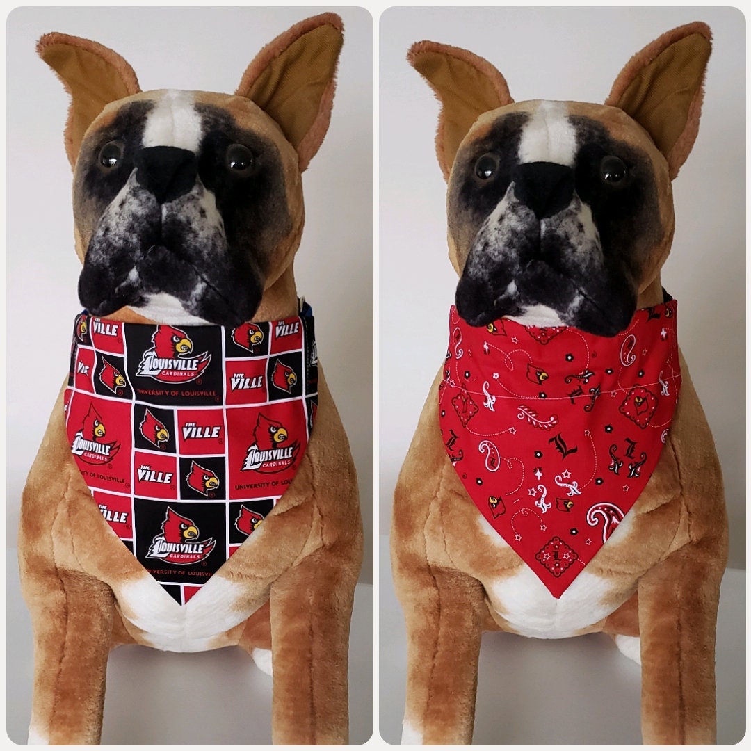 University of Louisville Cardinals Dog Collar