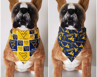 collegiate dog apparel