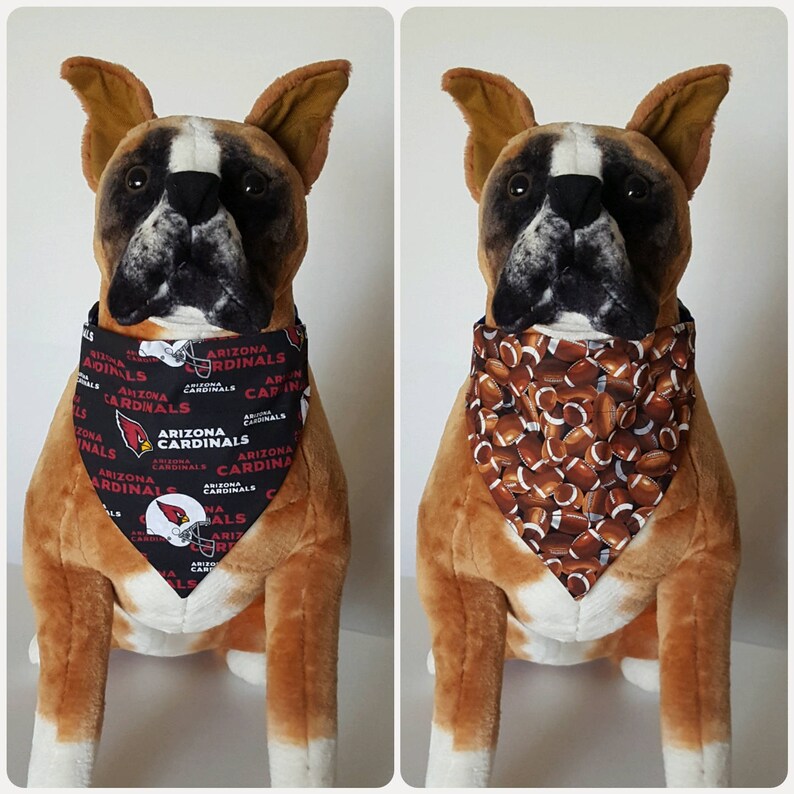 Животные после встречи с дикобразом. Спортивные собаки. Немецкая овчарка в больнице. Игл собаки. Тактический пояс к9 thorn для дог трекинга.