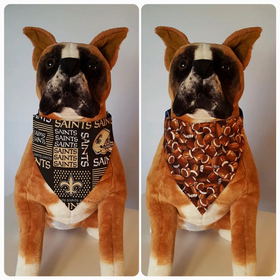 buccaneers dog jersey