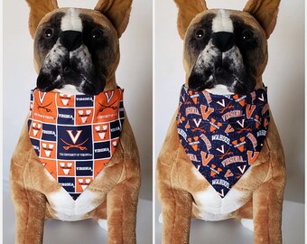 college dog sweaters