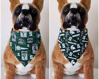 msu dog sweater