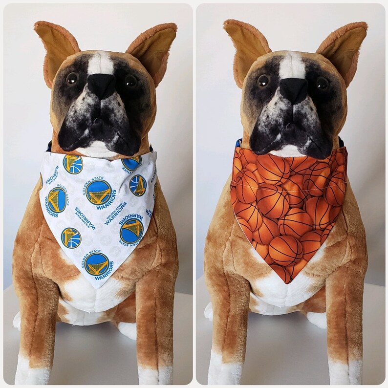 golden state warriors dog jersey