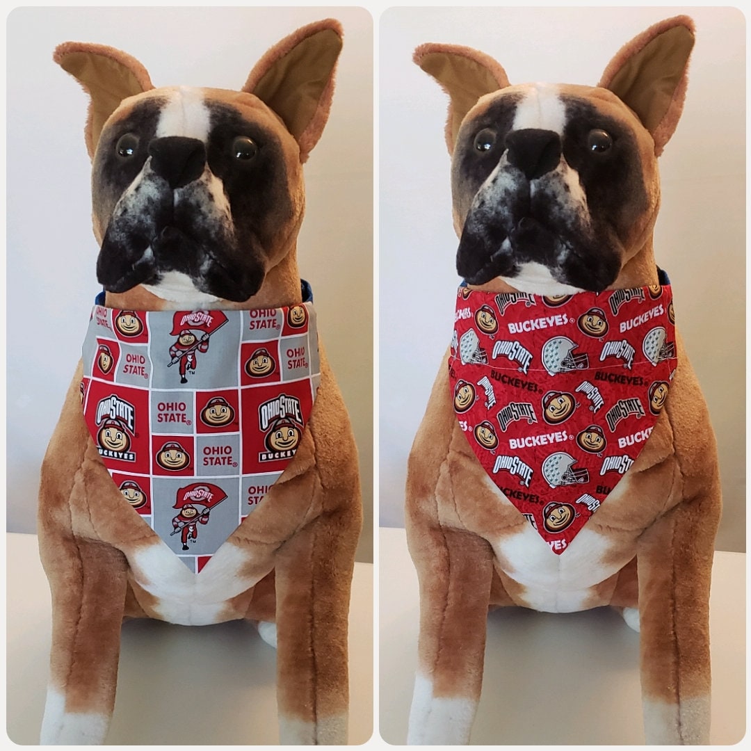 ohio state gear for dogs