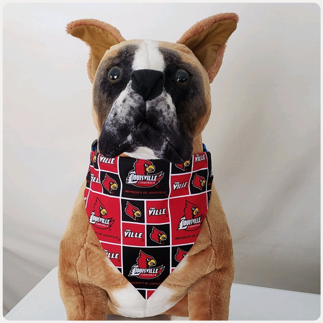 louisville cardinals dog collar