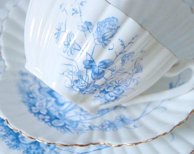 Rare Antique Wileman Pre-shelley Tea Trio, Alexandra Shape, Blue Floral ...