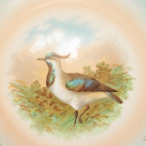 Pair of Antique Game Plates by Carl Tielsch, Cabinet Plates, Game Bird Decor, Germany