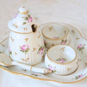 Set di condimenti vintage difficile da trovare, con rose dipinte a mano, Mehun Pillivuyt Francia