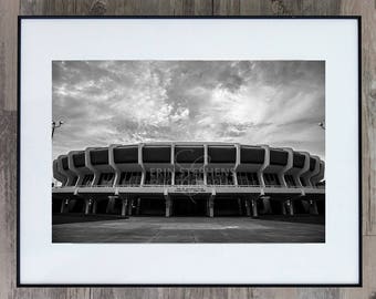 Fine Art Photograph - Maravich - Louisiana