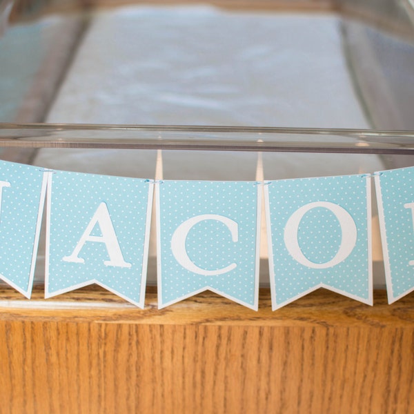 Hospital Bassinet Name Banner, Newborn Name Banner, Mini Name Banner!